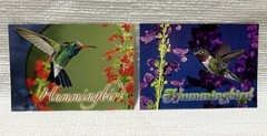 2013-Chas.J.Moore Photo.-S.C.-Hummingbird-11X14 Matted Photo Art Print + BONUS