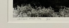 Original GORDON H HASTINGS California Yosemite Death Valley Gelatin PHOTOGRAPHS