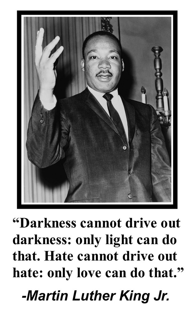 Martin Luther King Jr. MLK Civil Rights «darkness» Quote 11×17 Poster Photo #dn1