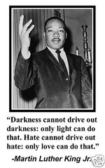 Martin Luther King Jr. MLK Civil Rights «darkness» Quote 11×17 Poster Photo #dn1
