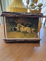 Vintage Gustavo Muss Arnolt British Spaniels Hunting Dogs In Rustic Bark Frame