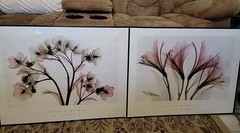 ALSTROMERIA Hellebore 2 STEVEN MEYERS XRAY FLORAL FLOWERS SEE THROUGH Art Print