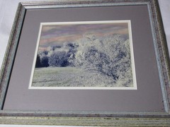 VINTAGE ONE OF A KIND HANDPAINTED BLACK & WHITE PHOTO WINTER TREES