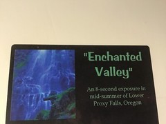 Enchanted Valley Ron Mellott matted Proxy Falls Oregon waterfall photography