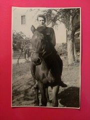 Old Photo Vintage Antique Man Horse Ross Old Photo Nice Man Horse Picture Animal