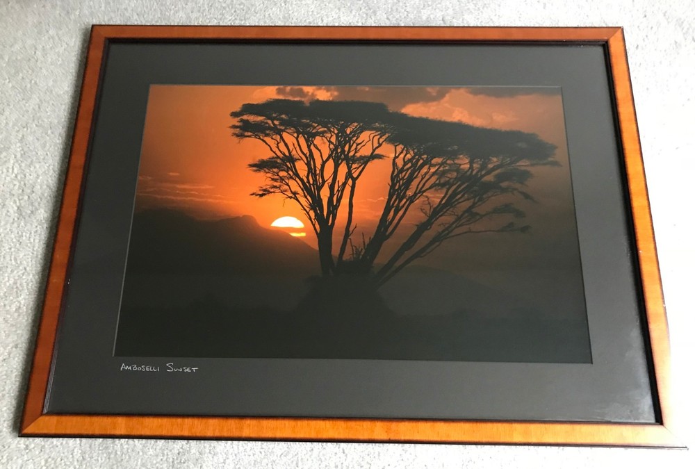 Professionally Framed & Matted: Amboselli Acacia Tree Sunset