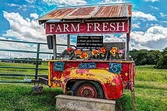 Southern Flower Truck 12 x 18 Picture HDR Fine Art Print