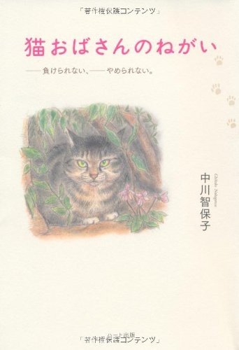 The Cat Lady’s Wish Unyielding Spirit Illustrated