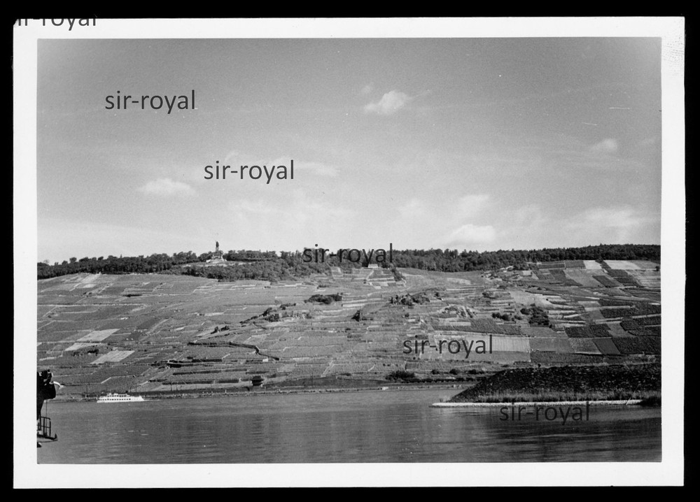 Landscape around the Niederwald monument 1958 in Rüdesheim – 1950s – photo 13x9cm
