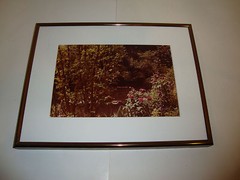 Pond Flower Tree Photo Lake In A Schneider Custom Frame Pewter Metal Park Nature