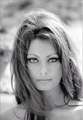 Sophia Loren 8×10 REPRINTS