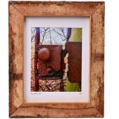 MICHAEL RAY Original Vintage Signed NY Secret Garden Landscape Photograph Print