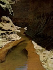 1962 Eliot Porter Glen Canyon Secret Hidden Hiking Passage Art Photo Gravure