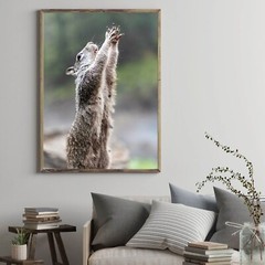 Cute Squirrel Praying Close Up Photo Wall Print, Wildlife Nature Photography