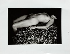 New Zealand Photographer Peter Peryer Gelatin Silver Photo Print Anne Noble 1979