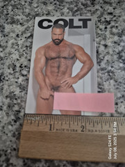 VINTAGE BEARDED MODEL PHOTO BY COLT ART PRINT (1) MAGNET