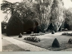 Jean Dieuzaide Original Photo Art Photography 1970 Toulouse XXe Garden Stamp