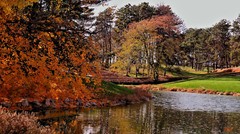 CAMpix Photography; metallic print on metal (ready to hang; no frame needed  