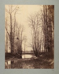CONSTANT ALEXANDRE FAMIN albumen (Pond and Farmer’s Wife) Fontainebleau Forest