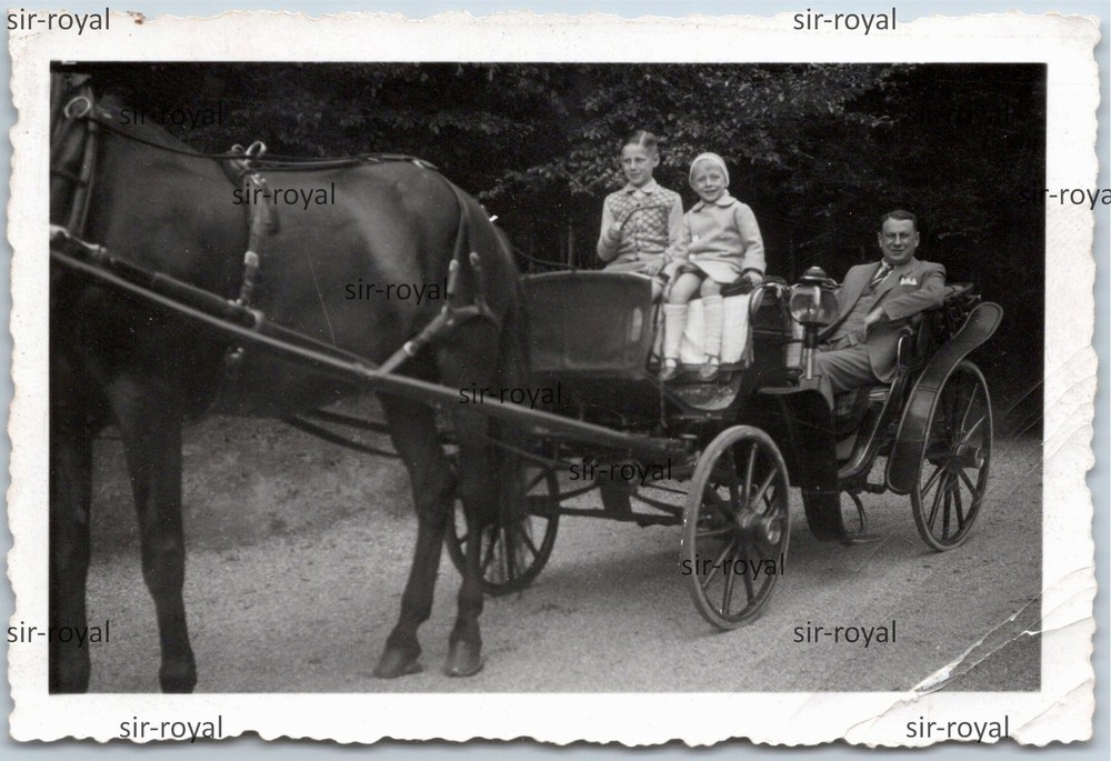 Mariánské Lázně 1940 – Family on Horse Carriage – Bohemia Czech Republic – Photo 9x6cm