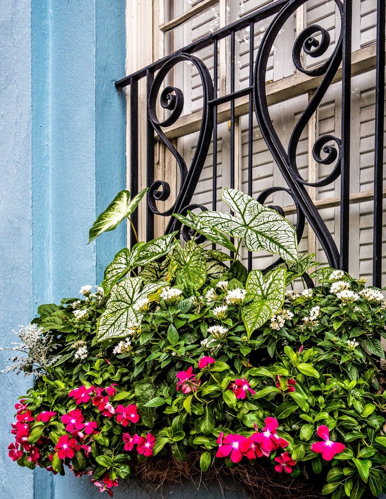Window floral Hanging