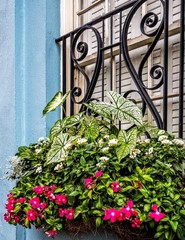 Window floral Hanging