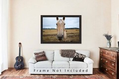 Horse Photography Print: Wyoming Equine Funny Humor Western Animal Photo