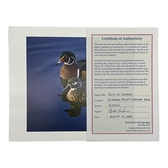 Pair Of Woodies Wood Ducks Print By Bob Kulon Photo Authentic COA 2009 8.5”x 11”
