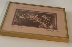 Original Photo Pink Orchid Signed & Framed Estate 1981