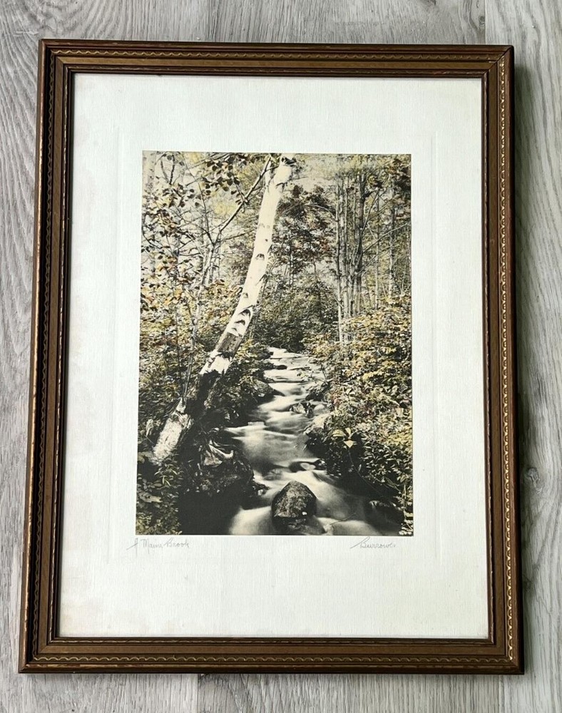 Hall Burrowes «A Maine Brook» Hand Colored Photo Nutting Peer
