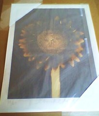 CHUCK CLOSE ‘Sunflower’, 2006/2011 SIGNED Photograph 24 x 18 in. #32/60 **NEW**