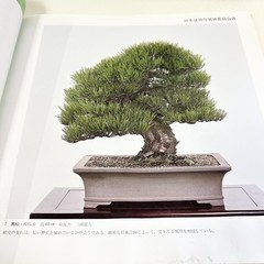 Nihon Bonsai Sakufu Ten 5th 1980 potted plants Japanese tradition art Photo Book