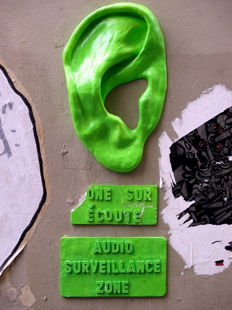 Paris Street Art Green Ear, Lithography Print on Board, Photograph 16″ x 20″