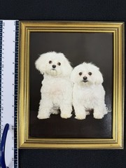 Vtg Original Framed Portrait White Maltese Dogs Gold Color Wood Ready To Hang
