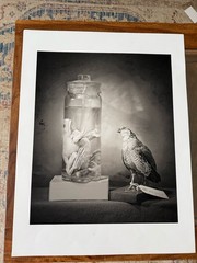 Robert Sulkin Photography Art 14×17 Black and White