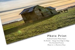 Country Photography Print – Picture of Abandoned House and Cows in Oklahoma