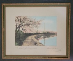 Royal A. Carlock signed Framed Photograph – National Monument Cherry Trees. NICE