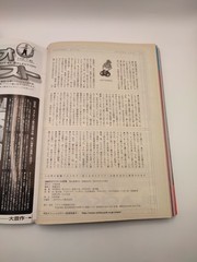 K-103-A-3 S&M Sniper, September 2001 Issue, Japan Culture & Art Magazine Araki