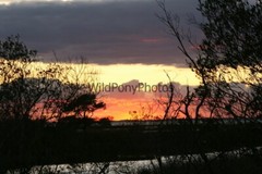 Sunrise or Sunset Photo, Pick One Image – Various Sizes