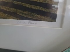 Martha Stewart »’SET OF 4 FRAMES OF YOUR CHOICE »’ NEW
