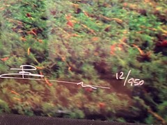 Peter Lik «Tree of Life” Signed, Limited Edition, Photo #12/950 1.5M SOLD OUT