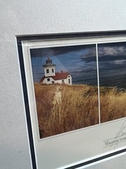 Mark Bergsma Signed Art Framed Photograph Lighthouse Dog “Waiting For My Friend”