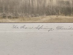 1910s 1920s DE LEON SPRINGS, FL HAND TINTED PHOTOGRAPH, WILLIAM JAMES HARRIS
