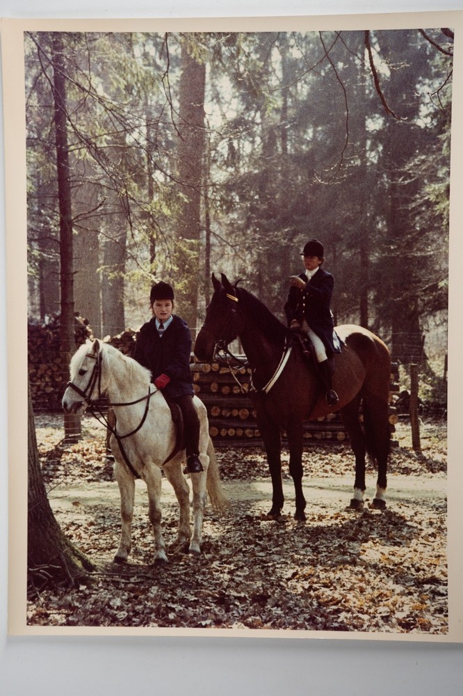 Vintage Analog Photo France Hunting Foxhunting Horse 24X30Cm 1970