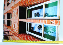 Artistic Brick Building Metal Print Professional Photograph/Palm Trees 16″ x 20″