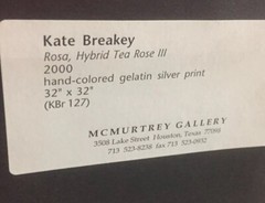 Kate Breakey Rosa Hybrid Tea Rose III 32×32 Very Rare Painted Photo Custom Crate