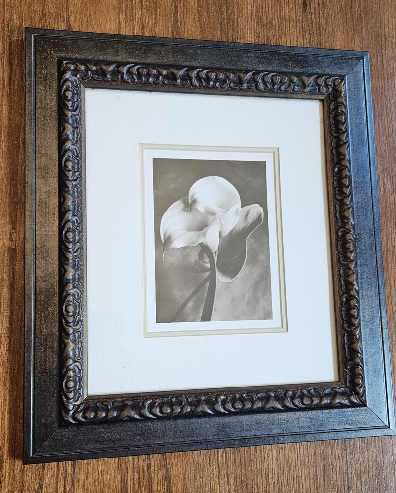 Sondra Wampler «Lily in Pose» Sepia Floral Photo Print Matted Professional Frame