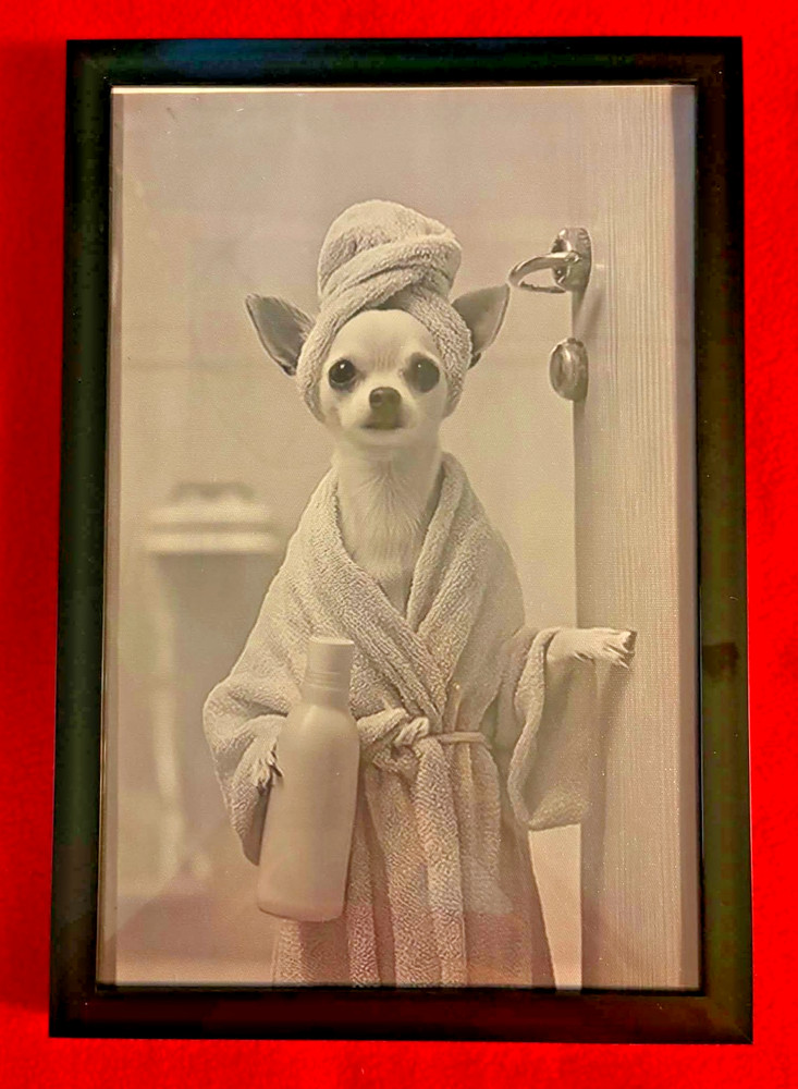 «Ready for my Bath»2D Flat, Chihuahua in Bathrobe Canvas Wall Photo.Frame 9″x13»
