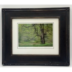 Sarah Hood Salomon Early Spring Framed Archival Photo Signed Numbered 3/25 Art