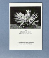Flor Garduño (b. 1957) Art Announcement Card 2025 – Paths Of Life